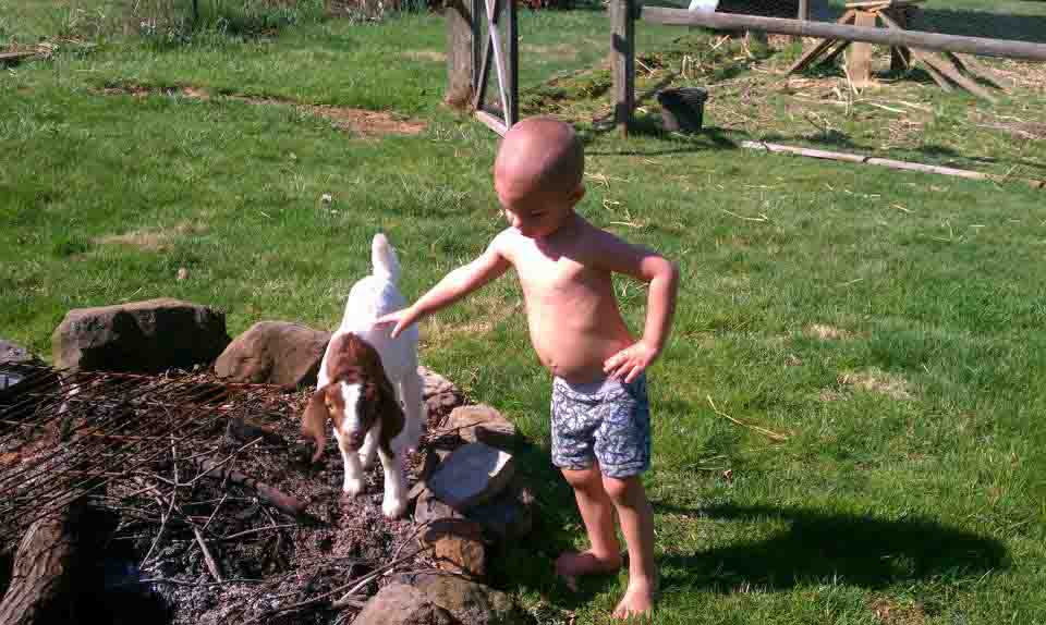 2012 GoatWorld